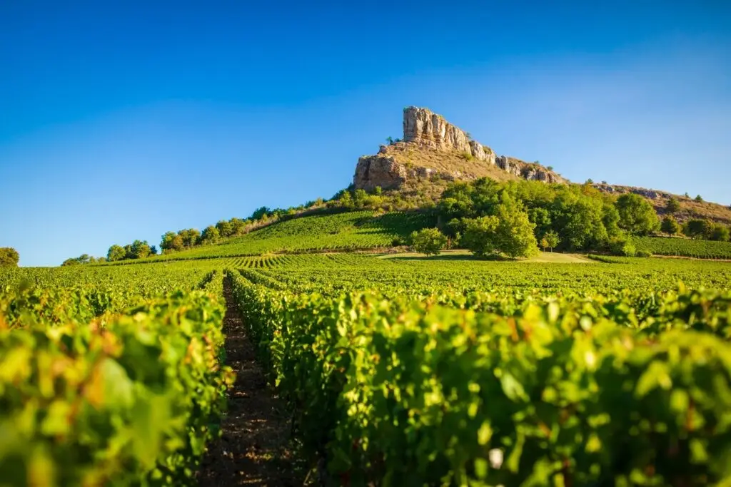 Domaine Pouilly Chalet